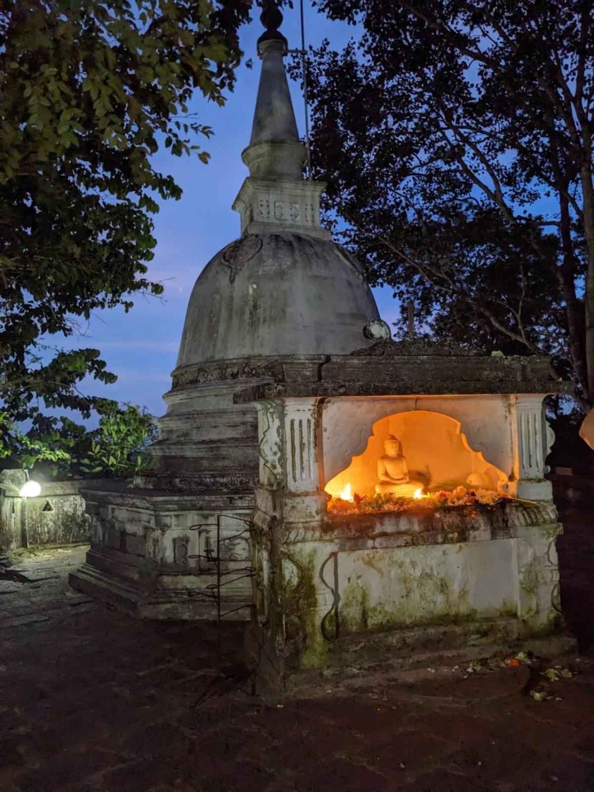 Little Pumpkin Cabanas Тангалла Экстерьер фото